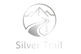 silvertrail.store - Home